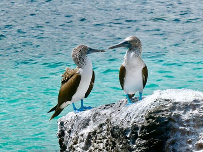 GALAPAGOS ISLANDS