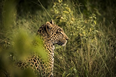 Botswana & South Africa
