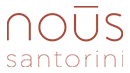 nous_org