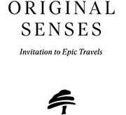 Logo Footer